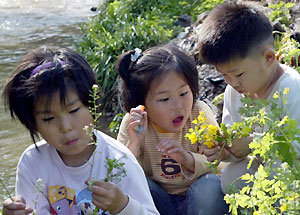 부모를 잃은 슬픔을 딛고 일어선 ‘수미 3남매’가 풀밭에서 즐거운 시간을 보내고 있다. 영천=김미옥기자 salt@donga.com@donga.com