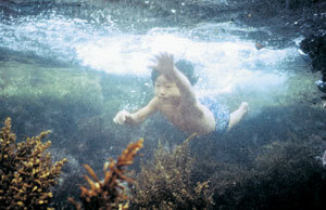 동해안 주문진에서 방수팩을 이용해 물 속으로 뛰어드는 모습을 생동감 있게 촬영한 사진      권주훈기자 kjh@donga.com