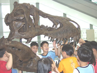 개관 전 박물관의 초청으로 온 어린이들이 티라노사우루스의 머리뼈 모형을 만져보며 즐거워하고 있다.-사진제공 서대문자연사박물관