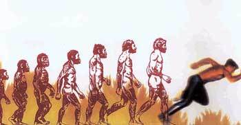 현생 인류는 여러 종의 고대 인류가 가졌던 유전적 특징을 이어받고 있는가, 아니면 단 한 종의 순수한 진화 계통만을 따르고 있는가. 이는 유전자 비교에 의해서도 완벽히 풀리지 않는 논쟁거리로 남아 있다. 사진은 인류 진화의 개념도.동아일보 자료사진