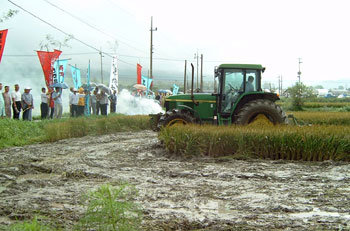3일 전북 남원시 운봉읍에서 농민들이 냉해를 입은 벼를 트랙터로 갈아엎고 있다. -남원=연합