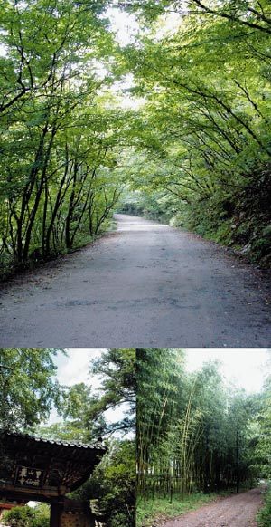 옛길 들머리에 있는 선암사 일주문.