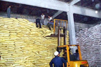 북한 함경남도 흥남시의 용성 식량공급소에서 인부들이 지게차를 이용해 한국으로부터 지원받은 쌀 포대를 창고에 쌓는 작업을 하고 있다. -흥남=연합