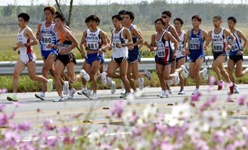 코스모스 향기 맡으며…전국체전 남자마라톤에 출전한 각 시도 선수들이 코스모스가 피어 있는 길을 따라 힘차게 달리고 있다. 전주=특별취재반