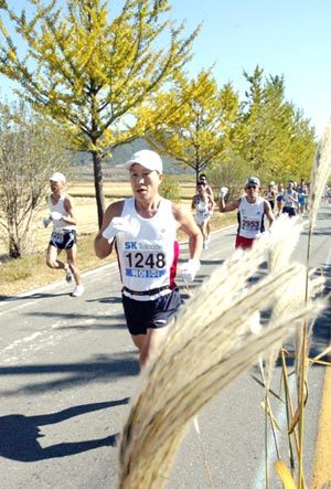 “가을을 가르며”동아일보2003경주오픈마라톤에 참가한 마라토너들이 가을 정취를 만끽하며 달리고 있다. 경주=특별취재반