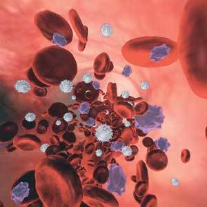 3차원으로 구성한 혈액혈액은 적혈구와 백혈구, 혈소판, 혈장으로 구성돼 있다. 혈관 속을 흐르는 혈액을 미세 현미경으로 찍은 것처럼 3차원으로 구성해 본 모습. 빨간색이 적혈구, 회색이 백혈구, 보라색이 혈소판이다. 이들을 둘러싼 공간이 혈장이다. 그래픽 제공 비주얼에이드