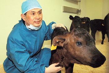 세계 최초로 탄생한 ‘광우병 내성 유전자 소’를 끌어안고 있는 서울대 황우석 교수. -강병기기자