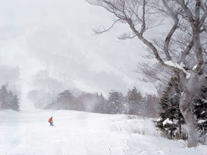 앗피스키장의 최장 스키 트레일인 야마가토 코스의 한 부분. 이와테현(일본)=조성하기자