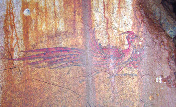 최근 촬영된 기토라 고분 석실 벽면의 사신도 중 주작. 남쪽의 수호신으로 현실과 상상의 동물이 복합된 봉황의 색깔이 뚜렷하다.  -사진제공 아사히신문