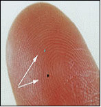 일본 히타치가 개발한 RFID 칩(제품명 '뮤칩')의 실제 크기.