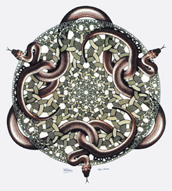 목판화 ‘뱀’(1969년). 일정한 패턴이 크기를 달리하며 반복되는 에셔 특유의 형태미학을 보여준다. 동아일보 자료사진