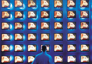 멀티미디어 기술의 발달은 예술가들에게 수단의 제약 없이 자유롭게 상상력을 펼쳐낼 수 있도록 해준다. 2003년 베를린에서 열린 국제 전자제품 전시회에서 한 관람객이 멀티스크린 쇼를 감상하고 있다. 동아일보 자료사진