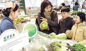 백화점 할인점 등에는 친환경 야채와 이를 재료로 한 가공식품을 따로 파는 유기농 매장이 넓어지고 있다. 사진제공 롯데백화점