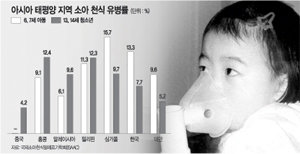 자료:국제소아천식알레르기학회(SAAC)