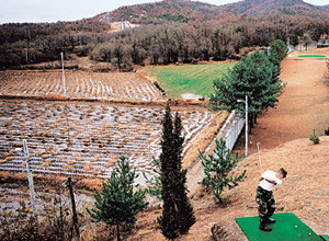 세계에서 가장 위험하다는 공동경비구역(JSA) 골프장 전경이 처음 공개됐다. 골프다이제스트 4월호는 ‘외국인의 눈으로 돌아본 놀라운 골프 공화국’이란 특집기사를 다루면서 JSA에 있는 1홀짜리 파3 골프 코스(192야드)를 사진과 함께 소개했다. 페어웨이 옆은 논이고 주변은 지뢰밭이며 그린은 인조잔디로 조성됐다. 군복에 군모를 쓰고 티샷을 하는 주한미군의 모습이 이색적이다. 사진제공 골프다이제스트