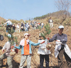 신혼부부 나무심기 행사국유림 지역인 경기 양평군 청운면에서 신혼부부 200쌍이 지난달 28일 심을 묘목을 정성스럽게 옮기고 있다. ‘우리강산 푸르게 푸르게’라는 환경 캠페인을 벌이고 있는 유한킴벌리는 20년째 ‘신혼부부 나무심기’ 행사를 열고 있다. 양평=박영대기자