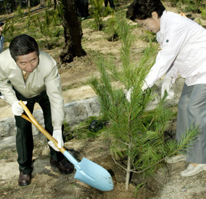 노무현 대통령(왼쪽)이 부인 권양숙 여사와 함께 5일 청와대 경내에 잣나무를 심고 있다. 노 대통령이 청와대 행사에 참석한 것은 지난달 12일 국회의 탄핵소추안 가결 이후 처음이다.   -연합