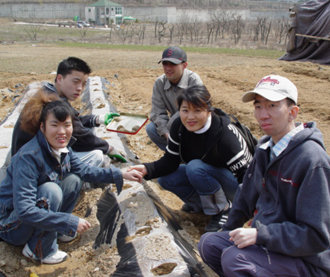 장애인과 자원봉사자들이 경기 성남시 분당구 석운동 밭에 씨감자를 심고 있다. 6월 말 수확하는 감자는 노인복지시설 등에 전달될 예정이다. -사진제공 희망의 토요학교