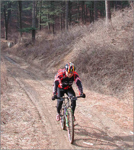 산악자전거(MTB)를 좋아하는 사람들이 모여 만든 산고양이 클럽. 이 클럽은 최근 투어링코스 개발과 함께 전국의 산에 널려 있는 쓰레기를 봉투에 담아오는 환경운동도 펼치고 있다. 한 회원이 MTB를 타고 산속 오솔길을 투어링하고 있다. 사진제공 산고양이 클럽