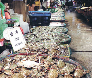 27일 오전 인천 중구 항동 인천종합어시장 내 꽃게 골목. 꽃게철을 맞았지만 주산지인 서해안 지역의 어획량이 줄어 꽃게값이 크게 오르자 예년과 다르게 한산한 모습을 보이고 있다.-사진제공 인천종합어시장