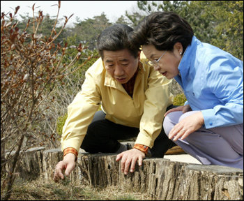 노무현대통령과 권양숙여사가 지난 3월 21일 청와대 경내를 산책하던 중 꽃 망울을 보고 있다.[청와대 제공]