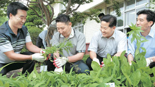 ‘서울신곡아버지회’ 회원들이 13일 신곡초등학교 꽃밭을 가꾸고 있다. 이들은 스승의 날 선생님들에게 카네이션 한 송이씩을 달아주며 감사의 뜻을 전했다. -김미옥기자