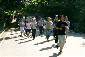 ‘내 자신의 한계에 도전한다.’ 대한민국 문화원정대 참가신청자들이 지난 13일 남산순환도로에서 단축마라톤으로 체력테스트를 받고 있다. 전창기자