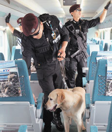 김선일씨 피랍사건과 관련해 국가 주요시설에 관한 경계활동이 대폭 강화됐다. 경찰 특공대가 21일 오전 서울역에서 폭발물 탐지견과 함께 고속열차 내부를 수색하고 있다.-연합