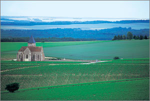 프랑스의 대표적인 화이트와인 산지인 부르고뉴 지방 샤블리의 장마크 브로캬르 포도원. 왼쪽은 13세기에 지은 생트클레르 성당이다. 부르고뉴샤블리(프랑스)=조성하기자