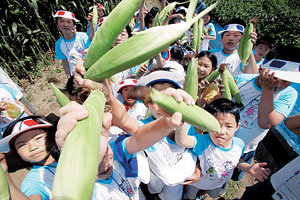 충남 홍성군 용봉산 청소년수련원에서 열린 ‘친구찾기 캠프’에 참가한 결식아동들이 29일 직접 옥수수를 따는 농촌체험 활동을 하며 즐거워하고 있다.- 홍성=신수정기자