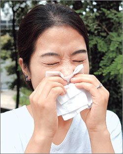 알레르기 비염은 자칫 감기로 잘못 알 수 있으므로 주의해야 한다. 알레르기 비염 환자가 해열제 등에 대해 두드러기 같은 알레르기 반응을 보이는 경우가 많기 때문이다. 사진제공 삼성서울병원