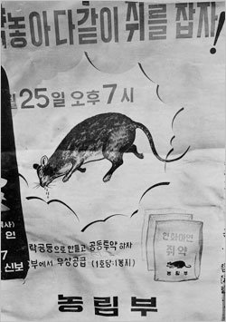 1972년 3월 ‘전국 일제 쥐잡기’를 독려하는 포스터. 동아일보 자료사진