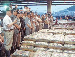 어획량이 줄어 수산물 가격이 크게 오른 가운데 10일 오전 6시 부산공동어시장에서 경매에 참여한 중도매인들이 수신호로 값을 부르고 있다. -부산=정재윤기자
