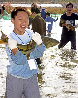 “맨손으로 잡았어요”지난해 열린 강원 양양 연어축제에서 한 어린이가 커다란 연어를 잡고 기뻐하고 있다. 동아일보 자료사진