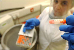 줄기세포가 담긴 앰풀을 냉동 저장고에서 꺼내 관찰하고 있는 영국의 한 연구원.-동아일보 자료사진
