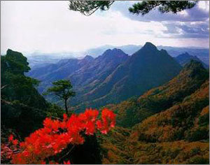 동아일보 자료사진