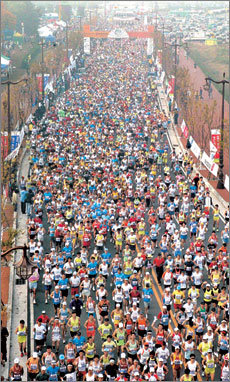 ‘천년 고도 경주의 가을을 달렸다.’ 31일 열린 동아일보2004경주오픈마라톤대회에서 1만1396명의 참가자들이 긴 행렬을 이루며 달리고 있다. 국내 최초의 마스터스 마라톤으로 출발한 동아경주오픈마라톤은 올해가 10년째. 경주=특별취재반