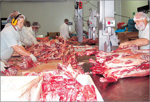 호주 애들레이드 근교에 있는 T&R 도축공장에서 직원들이 쇠고기를 부위별로 가공하고 있다. 애들레이드=임규진기자