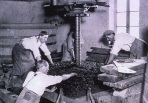 포도를 으깨 즙을 내는 압축기에서 일하는 일꾼들. 와인제조 공정의 첫 단계 중 하나다. 사진제공 중앙방송