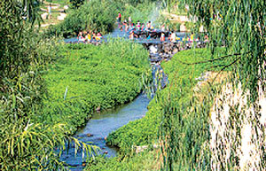 수원천은 시민들과 당국의 노력에 힘입어 버들치 등 각종 어류와 식물 95종이 서식하는 자연형 하천으로 탈바꿈했다. 사진제공 수원시