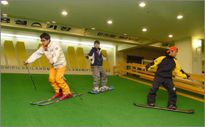 인조잔디로 덮인 고정슬로프에서 회전 연습을 하고 있는 스키어와 보더. 스노보드와 스키 모두 이용할 수 있다. 사진은 미필스키랜드 분당점. -성남=조성하기자