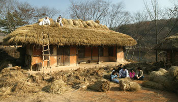 요즘 한국민속촌에서는 270여 채나 되는 초가집의 지붕을 벗겨 내고 새 이엉을 엮어 올리는 겨울채비가 한창이다. 초가지붕갈이 행사에서 이엉 엮기 등 일부 과정은 자녀들과 함께 직접 참여할 수 있다.