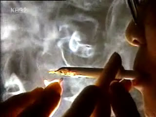 15일 방송된 KBS2 ‘추적 60분’의 ‘30년 논쟁-대마초의 진실’ 편은 누리꾼(네티즌)들로부터 대마초의 좋은점만 부각시켰다는 지적을 받았다. KBS 방송화면 캡처