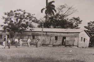 초창기 한인거주지쿠바 마탄사스 지역의 핑카 엘 볼로 농장에서 애니깽을 잘랐던 한인들이 묵었던 거주지. ‘쿠바의 한인들’이라는 책을 쓴 마르타 임 김 씨가 보관하고 있는 사진.