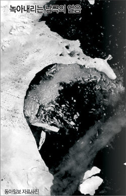 2002년초 남극반도 오른쪽에 있는 '라선B' 빙붕이 녹아 무너지는 모습. 한달만에 싱가포르 크기의 5배 가까운 얼음덩어리가 무너져 내렸다. -동아일보 자료사진