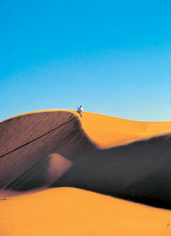 인생은 저 높은 정상을 목표로 올라가는 등반이 아니라 자신의 마음속 방향을 좇아 꾸준히 ‘나’를 찾아가는 사막의 여정이다. 사진 제공 김영사