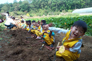 봄을 맞아 서울과 경기 지역 주말농장들이 일제히 분양에 들어간다. 서울시내 한 자연학습장형 주말농장을 찾은 어린이들이 고구마를 캐며 즐거워하고 있다. 사진 제공 서울시