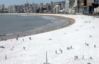 폭설에 갇힌 부산기상관측 이래 가장 많은 눈이 내려 6일 설원으로 변해버린 부산 광안리 해수욕장. 아이들이 만든 눈사람이 곳곳에서 눈밭을 지킨다. 눈 피해를 보긴 했지만 시민들이 모처럼의 백색 정취를 즐기고 있다. 부산=연합