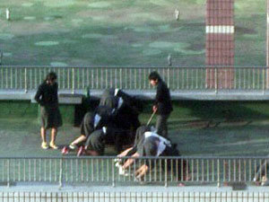 사진 제공 노컷뉴스