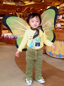 나비날개 모형